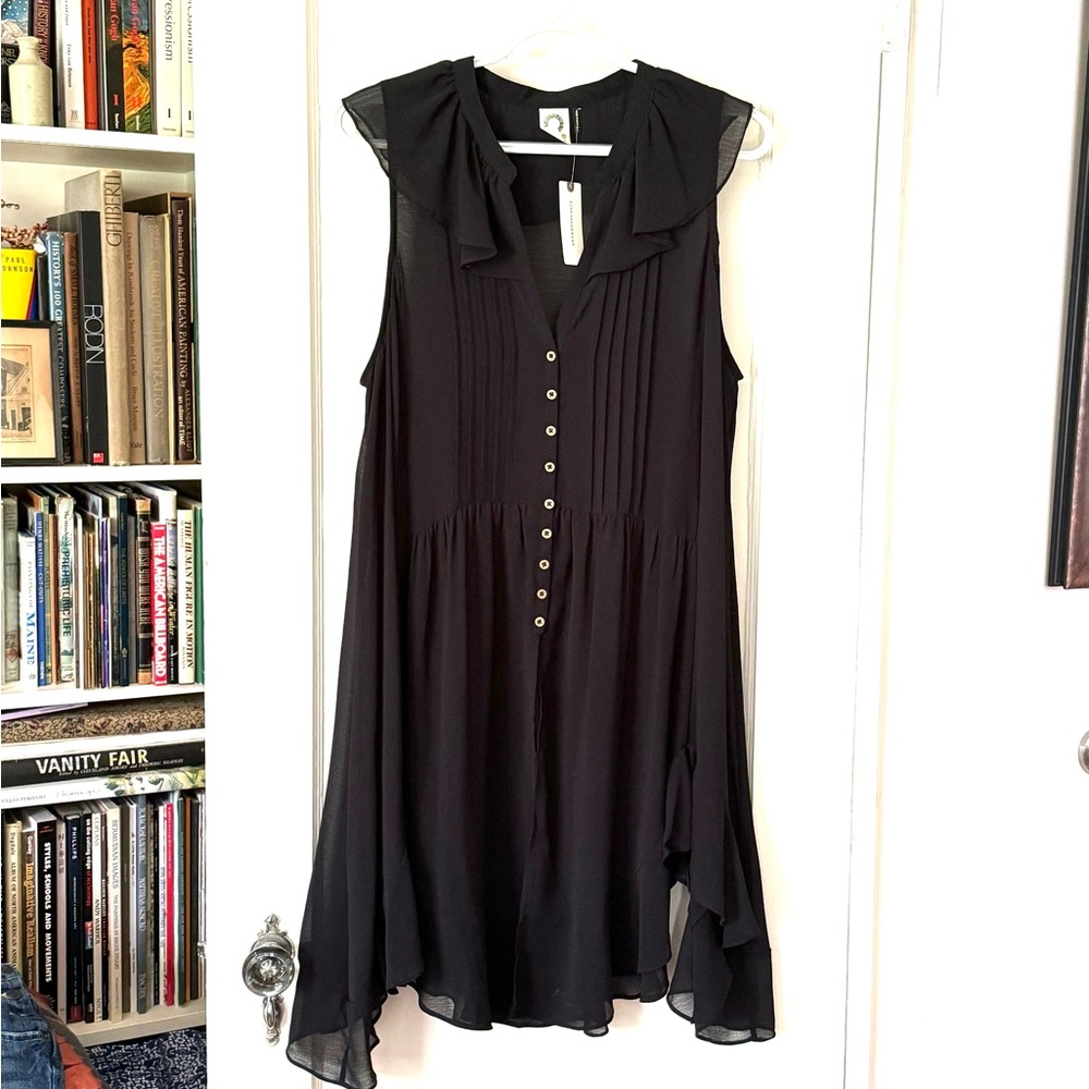 NWT Anthropologie sheer black dress with ruffles pleated front. size L